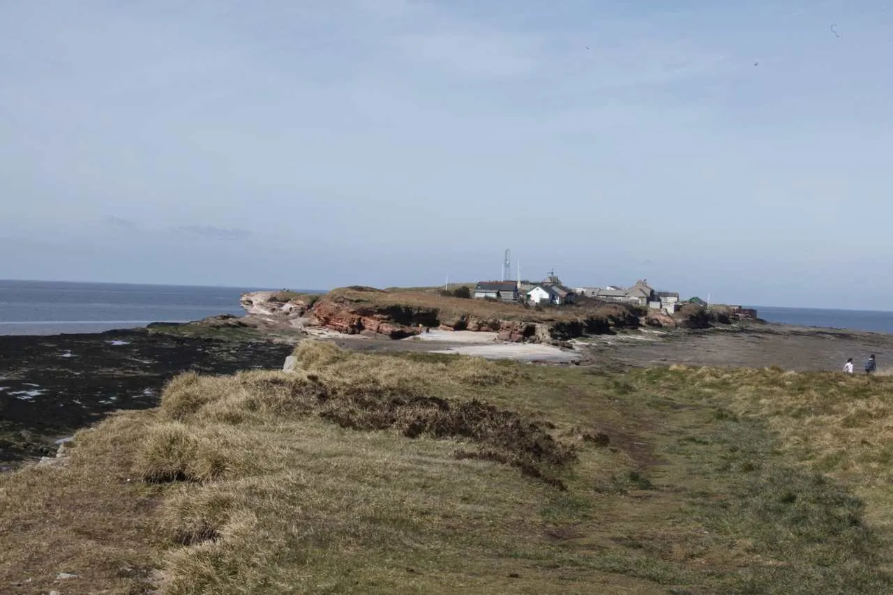 Grassy path along the island looking towards Hilbre’s red sandstone cliffs and buildings at low tide
